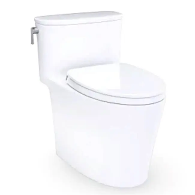 Aurora 1G 1pc Toilet W/ Ss234