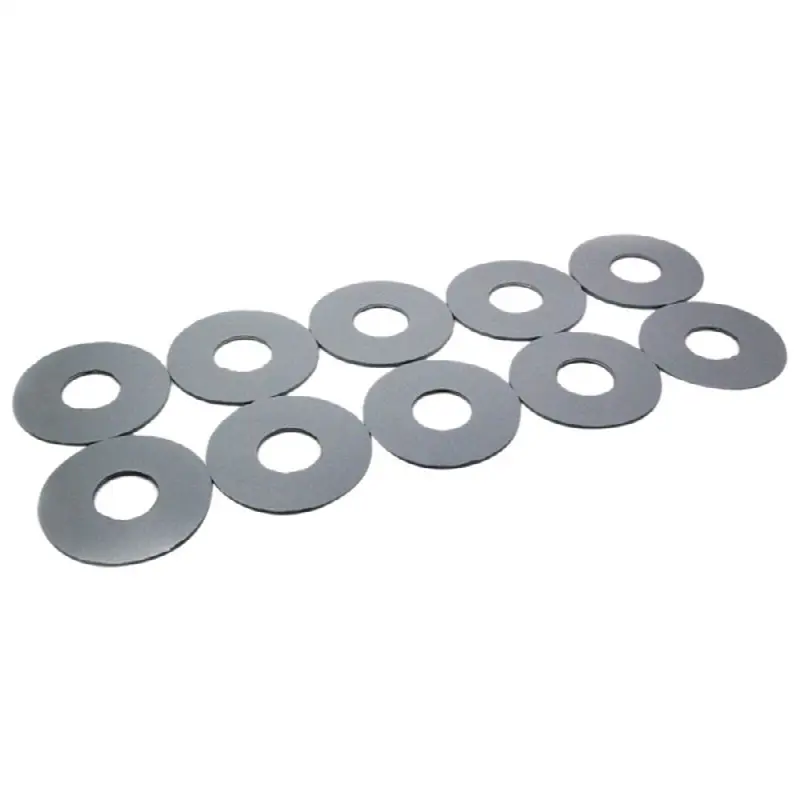Flapper Gasket (10) Set Cst85 /Cst86 /St707/743S