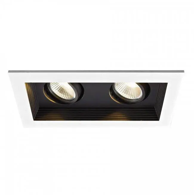 Mini Multiple LED Two Light New Construction Housing with Trim and Light Engine