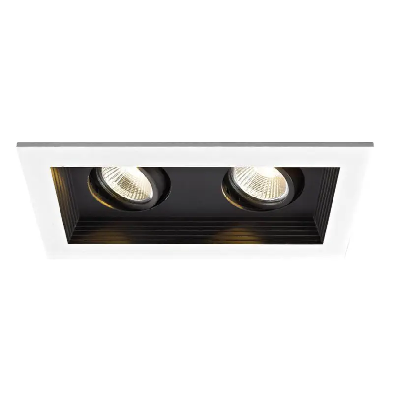 Mini Multiple LED Two Light Remodel Housing with Trim and Light Engine