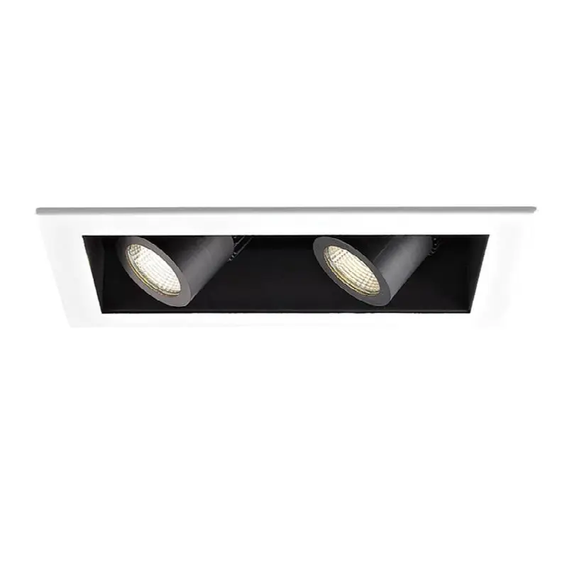 LED Precision Multiple Two Light Housing with Light Engine