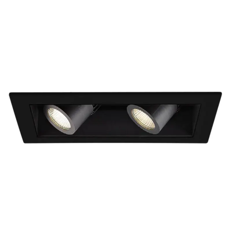 LED Precision Multiple Two Light Trim