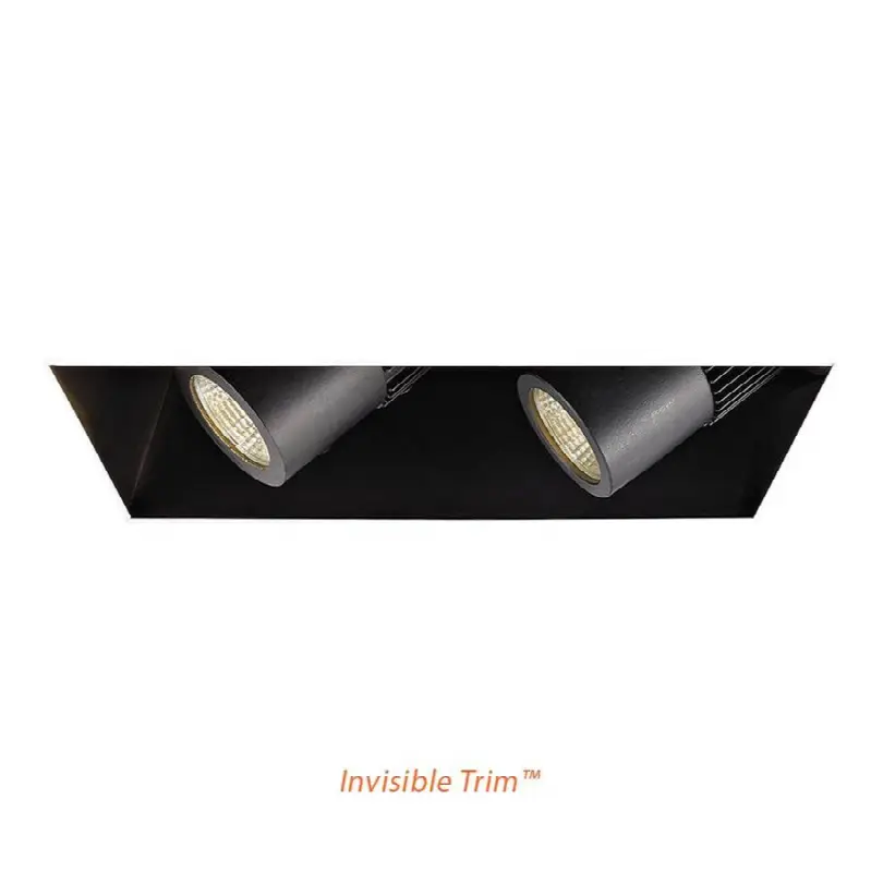 LED Precision Multiple Two Light Housing with Light Engine