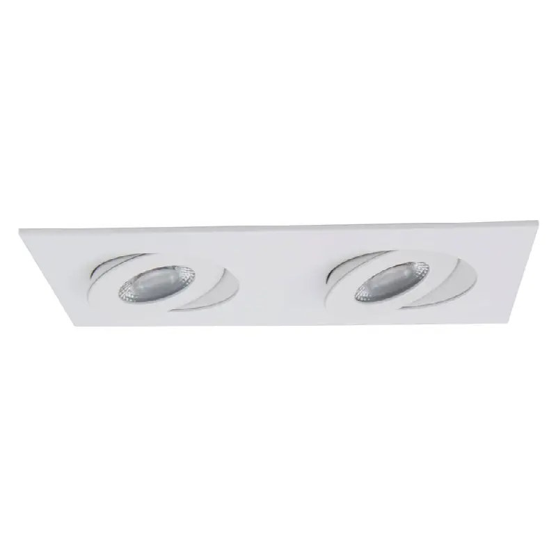 Lotos 2In Square Adjustable 2 Light
