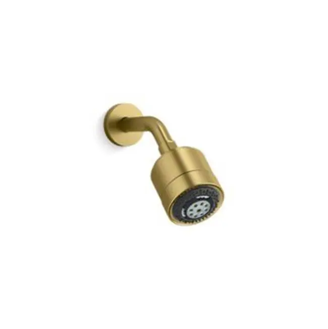 Showerhead, Contemporary Multi-Function
