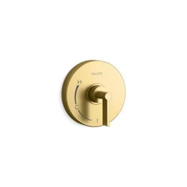 One™ Pb Shower Trim W/O Divrt, Lever Hdl