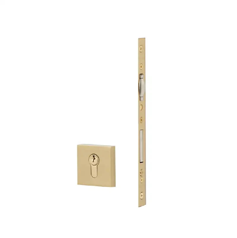 European Mortise Deadbolt with Integrated Roller Latch, Square 2-1/4" x 2-1/4", Keyed with Euro Profile Cylinder