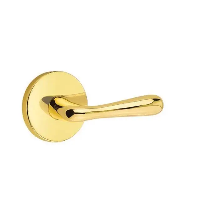Privacy, Disk Rosette, Basel Lever, LH, US