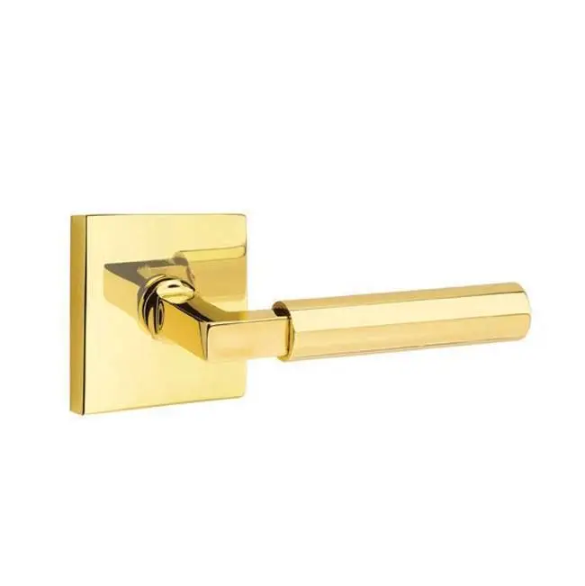 Privacy, Square Rosette, Hercules Lever, LH, US
