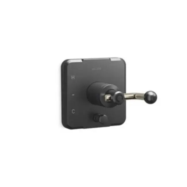 Vice™ Pressure Balance Trim Crank W Div