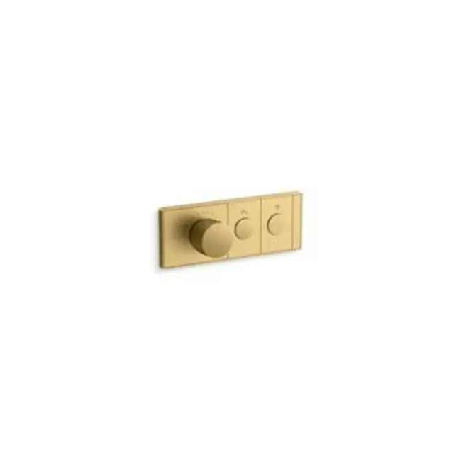 2-Outlet Trim Push Button Mechanical