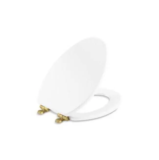 Contemporary Toilet Seat