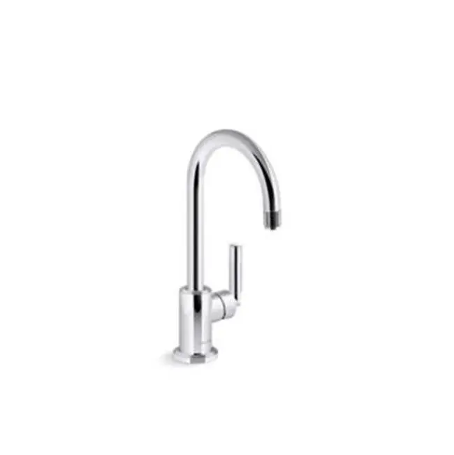 Vir Stil® Entertainment Faucet