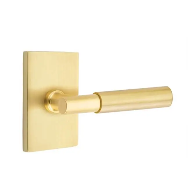 Concealed, Passage, Oval Rosette, Myles Lever, US14