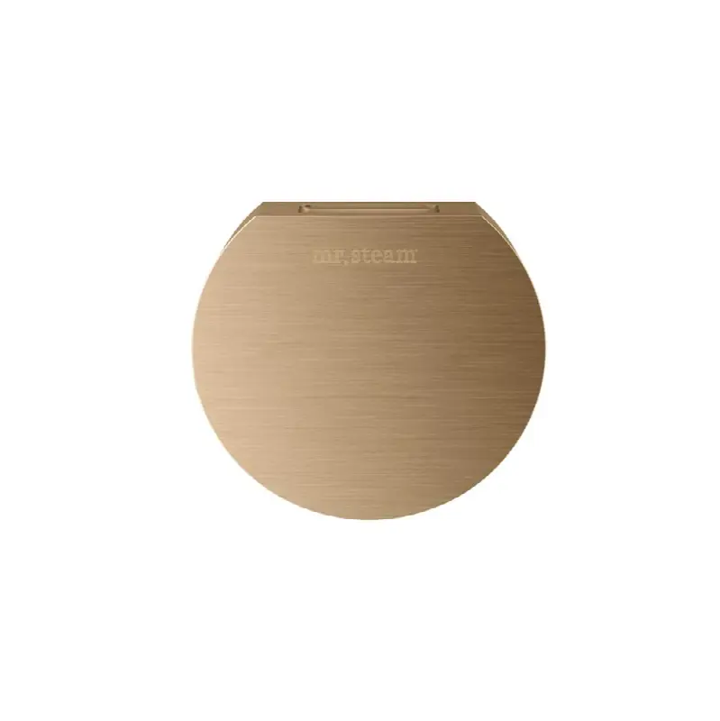 Designer 3 in. Steamhead with AromaTherapy Reservoir in Round