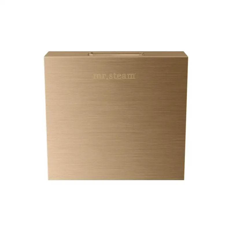 Designer 3 in. Steamhead with AromaTherapy Reservoir in Square