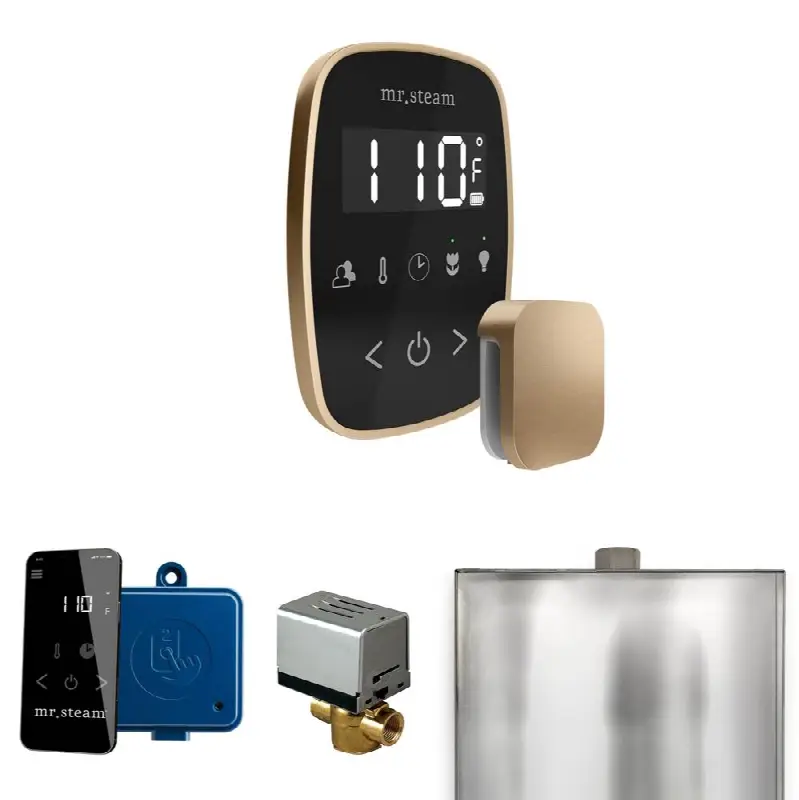 ButlerFlex Steam Shower Control Package with TempoFlex Control and Steamhead