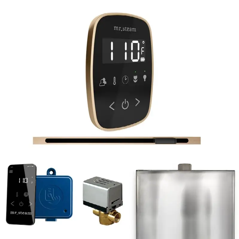 ButlerFlex Steam Shower Control Package with TempoFlex Control and Linear Steamhead