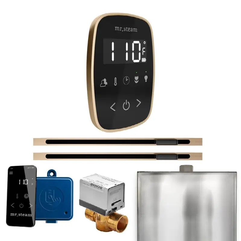 ButlerFlex Max Steam Shower Control Package with TempoFlex Control and Linear Steamhead