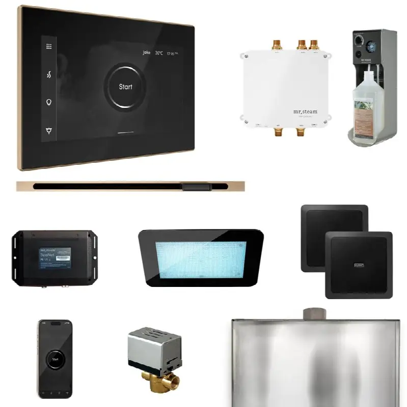 Bliss Steam Shower Control Package with iSteamX Control and Linear Steamhead