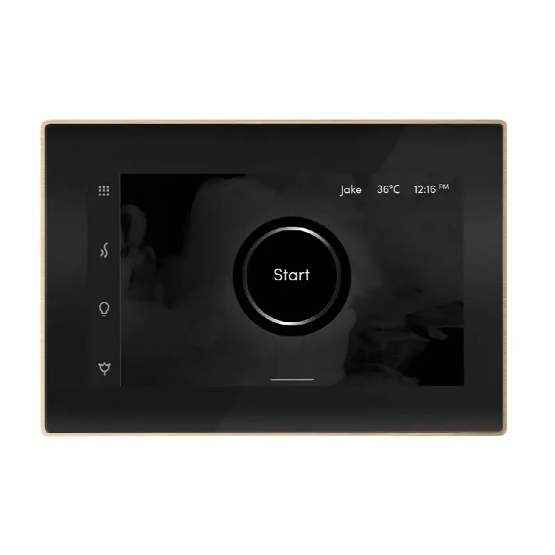 iSteamX Steam Shower Control and Steamhead