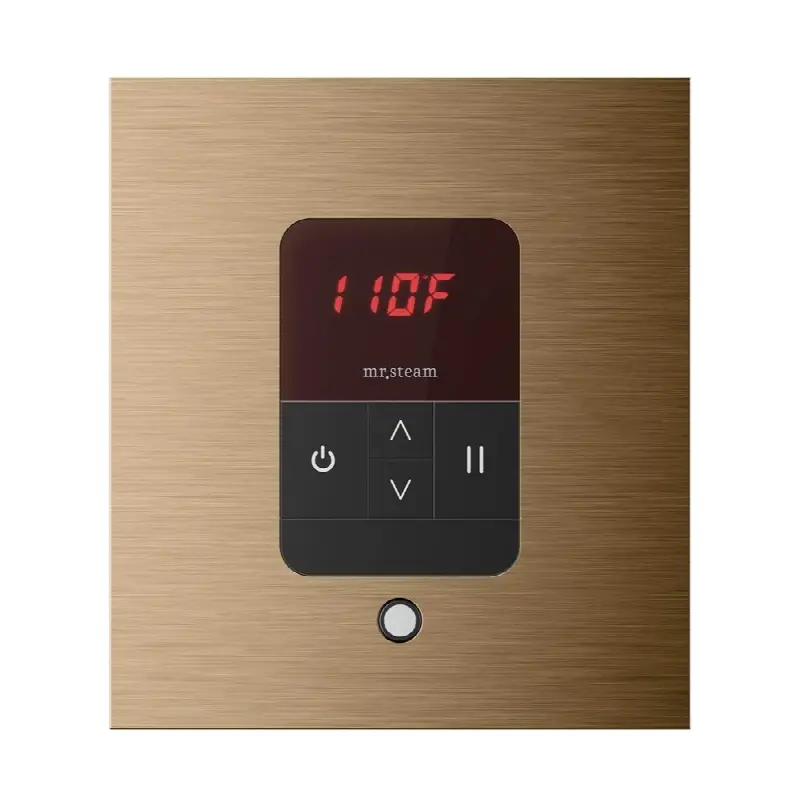 iTempo Square Steam Shower Control and Steamhead