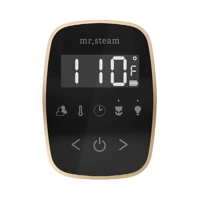 TempoFlex Steam Shower Control and Steamhead