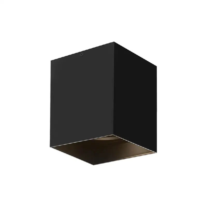 Exo 6 Flush Mount