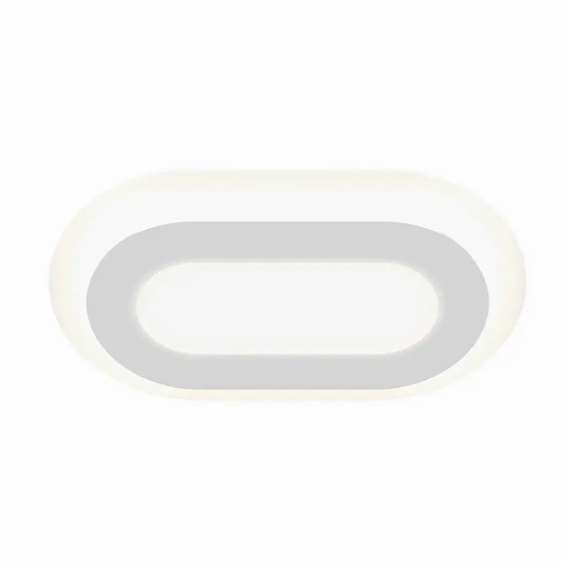 24" Racetrack LED Surface Mount
