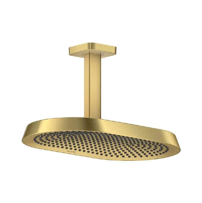 ShowerSphere Showerhead 250 1-Jet Ceiling Connection, 1.75 GPM