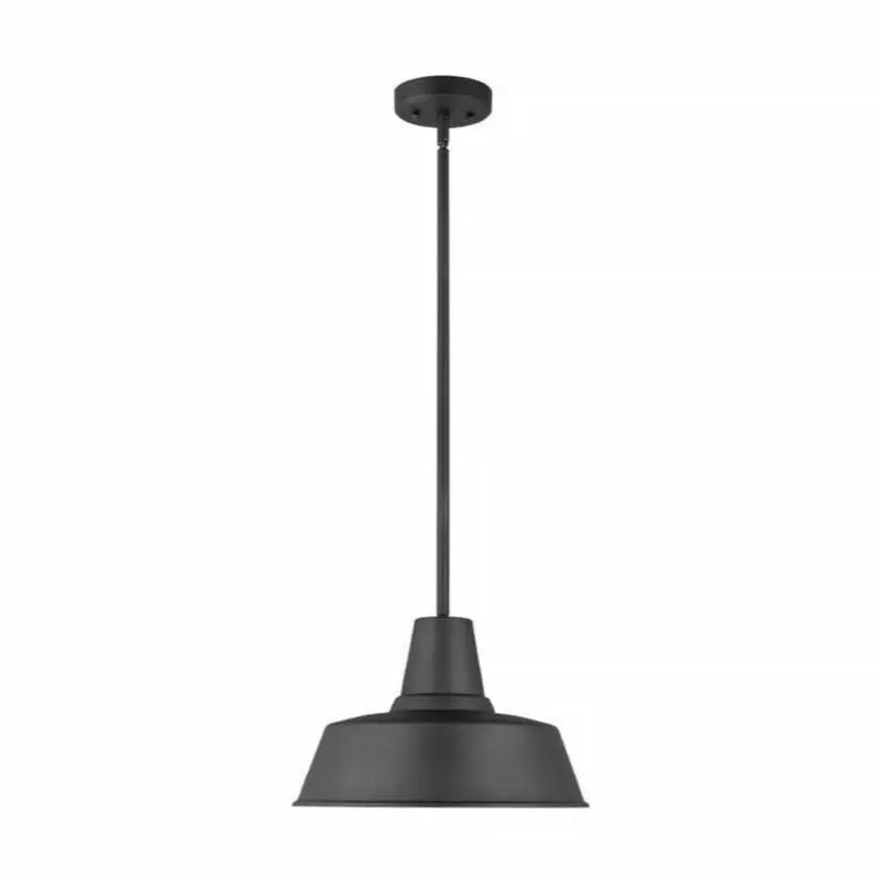 Barn Light One Light Outdoor Pendant
